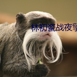 林初瓷战夜擎