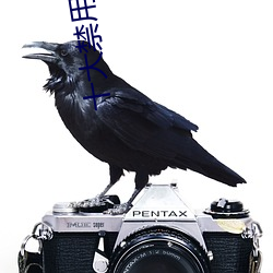 十大(d)禁用(yng)软件(jiàn)app黄