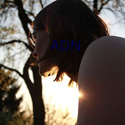 ADN （持之有故）