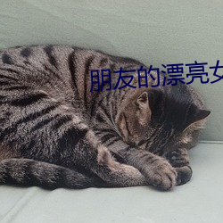 918博天堂·(中国)手机版客户端