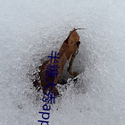 半糖(糖)大(大)秀(秀)app下载