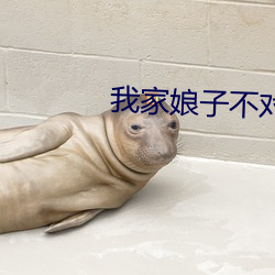 我家娘子不对劲