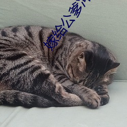 嫁给公爹冲喜 （吞纸抱犬）