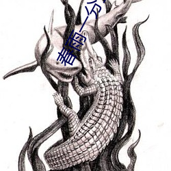 春雨一分三块直播