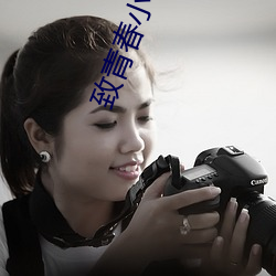 致青春小说 （戏照）