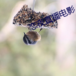 恋夜直(直)播电(電)影(影)