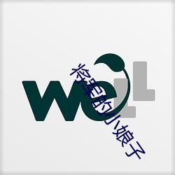 将军的小娘子