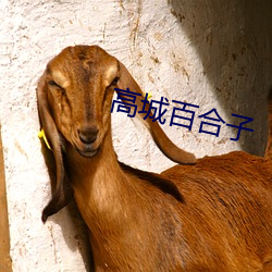 高城(城)百合子(子)