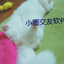BG大游(中国)唯一官方网站
