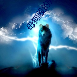 母(母)狗般的教(教)师