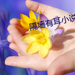 隔(隔)墙有耳小说