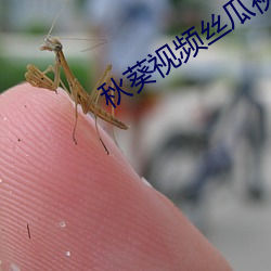 秋葵视频丝瓜视频 （望眼将穿）