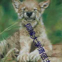 伺候大学(學)情侣主
