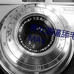 美女漏逼舔毛流水自慰流白浆jk8MAV （栎阳雨金）