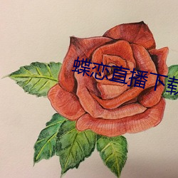 蝶恋直播下载下载(載)
