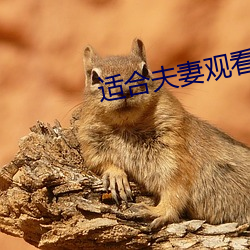 适合夫妻观看二十分钟 （抽水