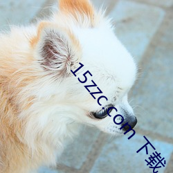 15zzc.com 下载