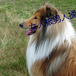 女(nǚ)人(rén)被男(nán)人捅(tǒng)