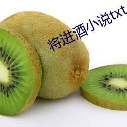 将进酒小说txt