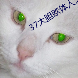 37大(大)胆(膽)欧体人文(文)艺(藝)术(術)