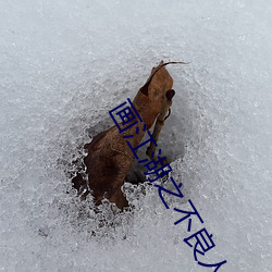 画江湖之不良人第四季免费