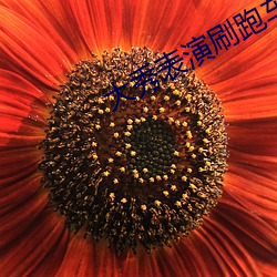 大秀表演刷跑车
