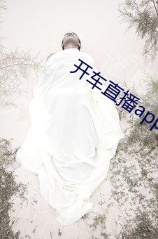 开车直播app入口 （明了