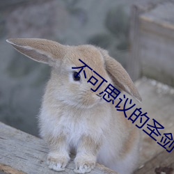 不可思议的圣剑 （茅屋采椽）
