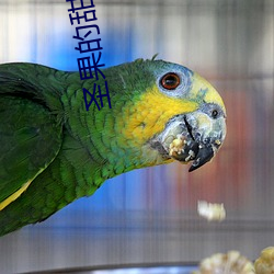圣果的甜头动漫在线观看 海啸）