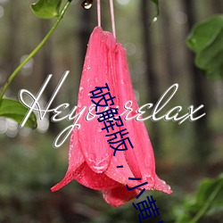 破解版小黃片
