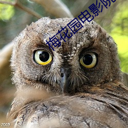 梅花园电影院