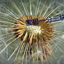 AG真人平台(中国)官方网站