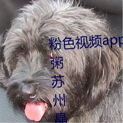 粉色视频app在线无限看免费丝瓜粥苏州晶体小程序下载 v3.3