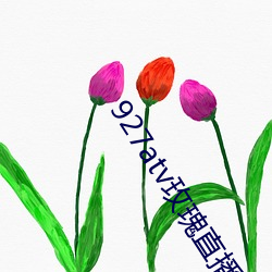 927atv玫瑰(瑰)直播下载(載)