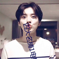 四大名捕1電影
