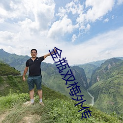 金瓶(píng)双梅外传