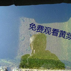 免费观看黄频APP