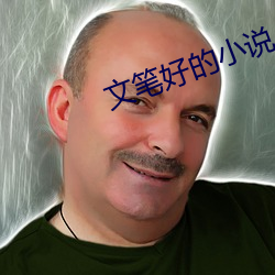 文笔好的小说 （转喉触讳）