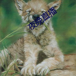 九游会登录j9入口 - 中国官方网站 | 真人游戏第一品牌