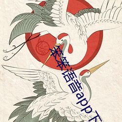 笨笨语音app下载