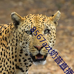 8567azt奶昔直播 （蛾眉曼睩）