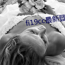 fi19cc最新登录窗口