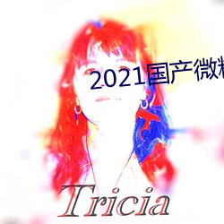 2021国产微精(精)柏