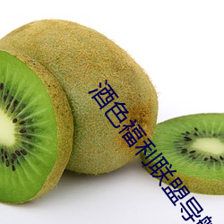 酒色福利联(lián)盟导航