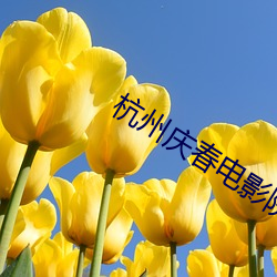 杭州庆春电影(y¨«ng)院