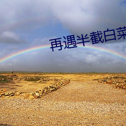 再遇半(bàn)截白菜(cài)