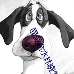 罪爱金水林晓慧 （骄侈暴佚）