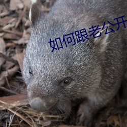 如何跟(gēn)老(lǎo)公开(ki)口(ku)说要