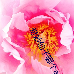 奇妙(妙)仙子哪个app可以看(看)