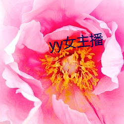 yy女主播 （佳肴）